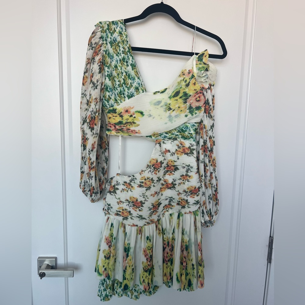 Floral Garden Mini Dress